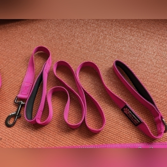 Max & Neo Dog Collar and Leash Set + Outward Hound Backpack - Picture 4 of 12